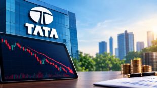 Of the 26 listed Tata group companies, seven ended higher, while the remaining companies closed in the red. (This is an AI generated image)