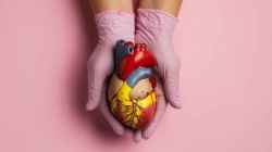 Hidden risks of visceral fat