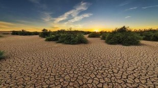 Kharif foodgrain output faces weather risks