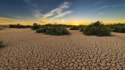 Food Grain output may not see big drop despite El Nino, drought, floods: Agri Minister 
