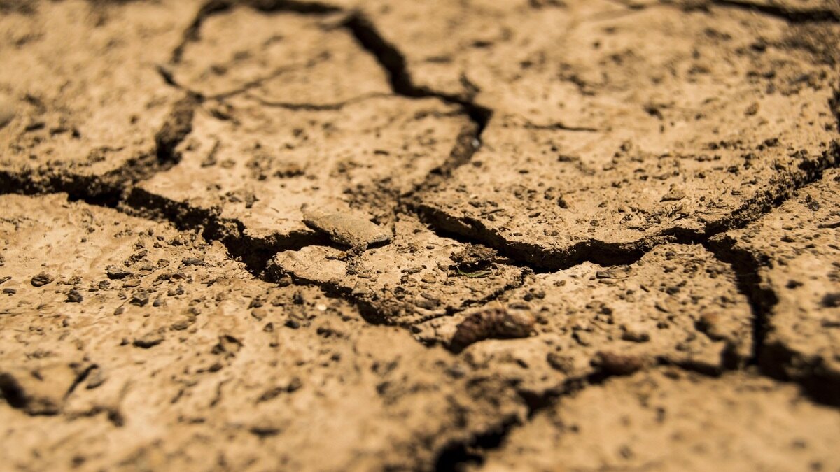 Water shortage or El Niño effect? Why 365 mandals in Telangana are drought-hit
