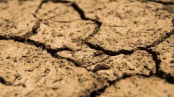 Water shortage or El Niño effect? Why 365 mandals in Telangana are drought-hit
