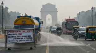Delhi Activates GRAP Stage 1. (AI-generated image)