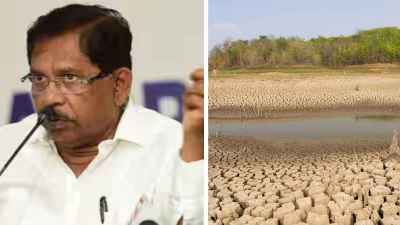 Karnataka drought: Rs 2,500 first instalment for farmers as crop losses mount