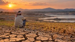 Weakest monsoon in over a decade: Why the worst drought impacts may lie ahead