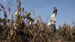 Drought across three states: What farmers have lost and what aid is coming