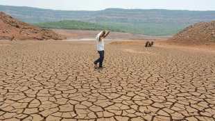 226 taluks, Rs 62,000 crore in losses: Understanding Karnataka’s drought relief ask