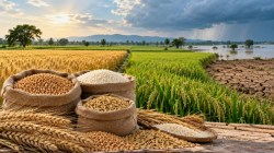 El Nino concerns: From sugar to tractors, 12% rain deficit threatens 5 core sectors 