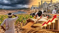 Why food businesses may feel the impact of a weak monsoon before consumers