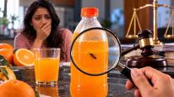 Woman finds dead insect in juice bottle; consumer panel upholds Rs 1.25 lakh compensation
