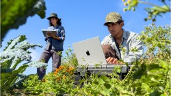 Who should choose Apple’s new 14-inch MacBook Pro?