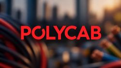 NCLAT stays Polycab India insolvency order; next hearing on October 26