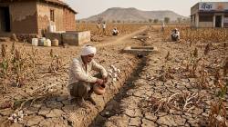 Maharashtra Drought: Festivals turn bitter as Yavatmal farmers sell livestock