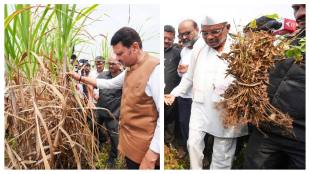 Maharashtra CM Devendra Fadnavis meet affected farmers in drought hit areas.