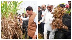 Maharashtra Drought: Festivals turn bitter as Yavatmal farmers sell livestock
