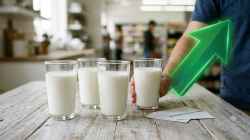 Karnataka hikes milk prices by Rs 8 per litre, new rates effective November 1