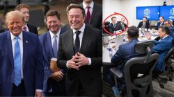 From DOGE to US warfare: Elon Musk lands new role in Trump administration