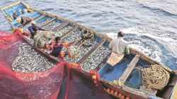 From fishing grounds to fisheries policy: Can Kerala put fishers’ knowledge to work?