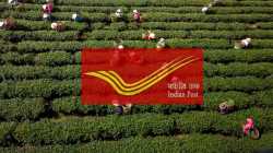 India Post logs 60,000 FPO deliveries in Gujarat