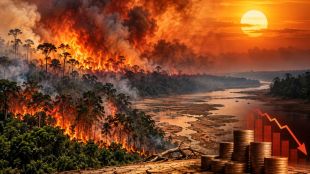 According to Reuters, the state recorded 1,679 fires in the first two weeks of October, a 253% increase compared with the same period last year (AI generated)