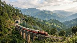 Shimla-Kalka toy train disruption hits tourism during festive season, traders seek repairs