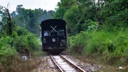 Western Railway to run Udhna-Amravati special train, announce five-hour Mumbai block