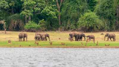 Wildlife conservation in the digital age