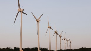 Low coal stocks, weak hydro: Wind emerges as India’s scalable power bet (Representational image/Pexels)